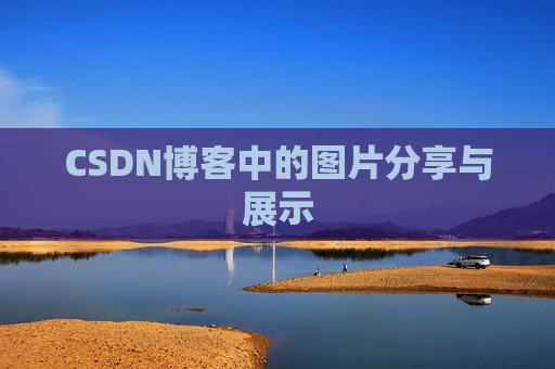 CSDN博客中的图片分享与展示